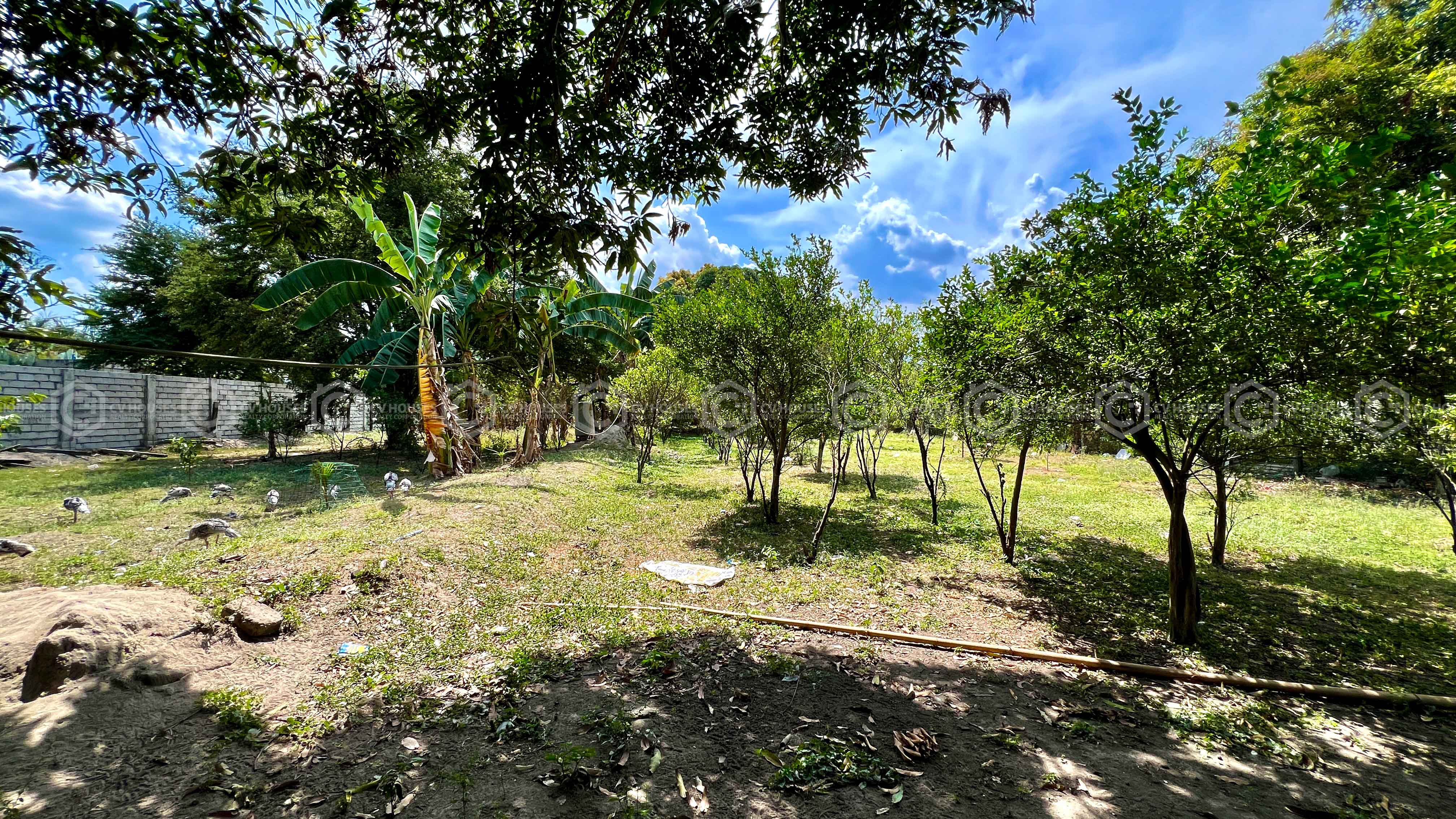 Agricultural Lot for Sale in Brgy. Lara, City of San Fernando, Pampanga