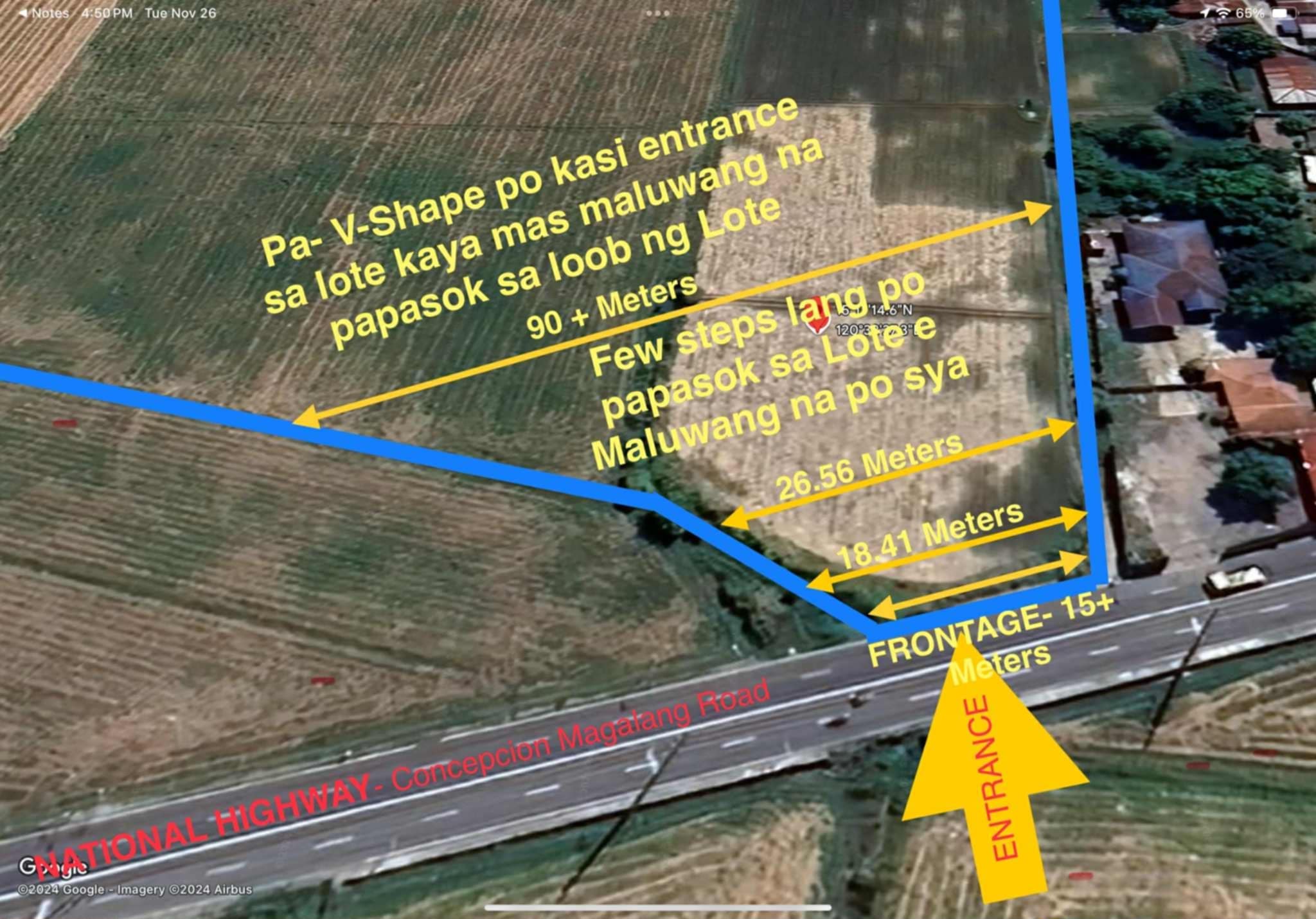 47,402 sqm Agricultural Lot for Sale in San Vicente, Tarlac