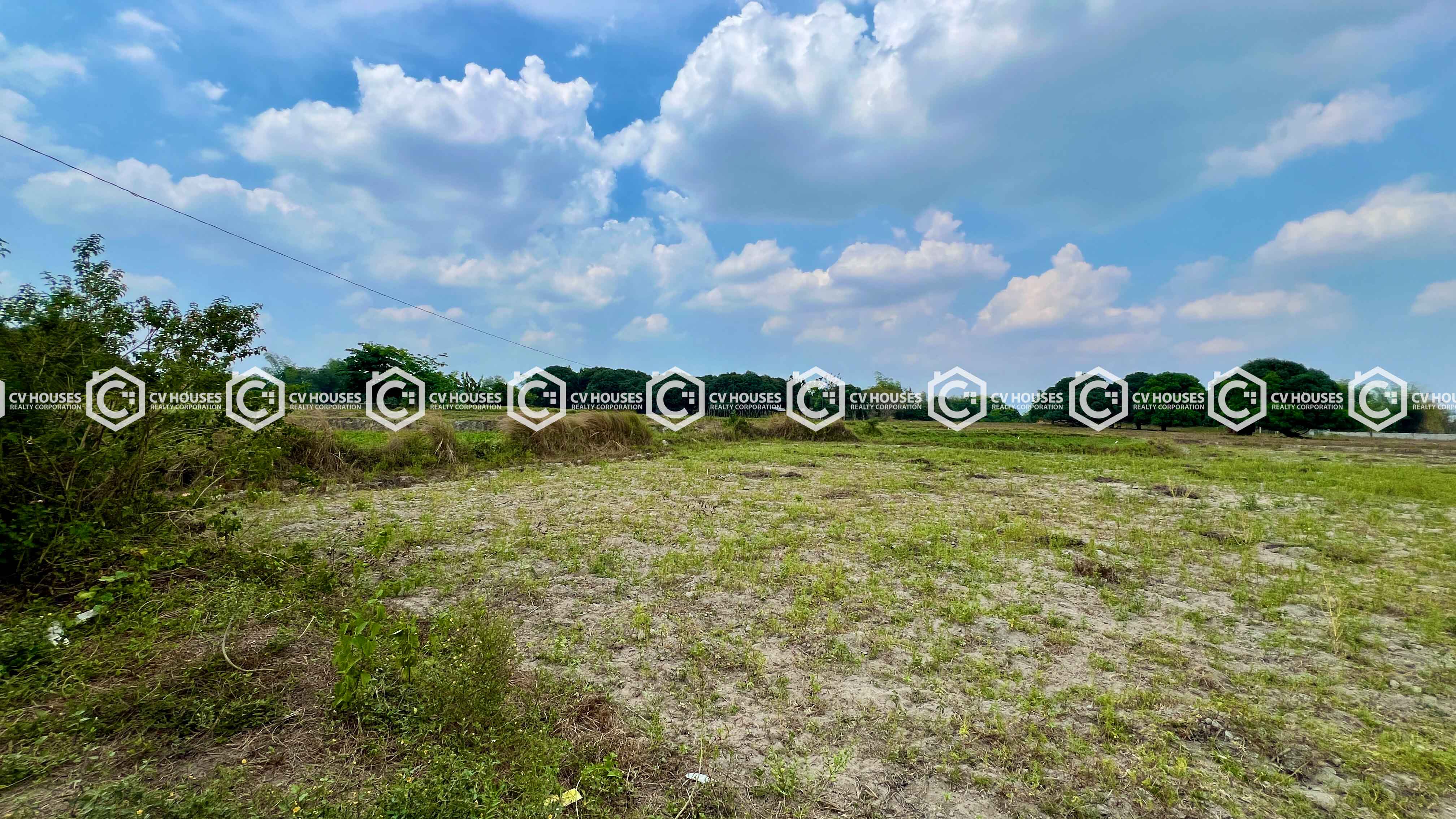 21,229 sqm Farmland for Sale in Bacolor