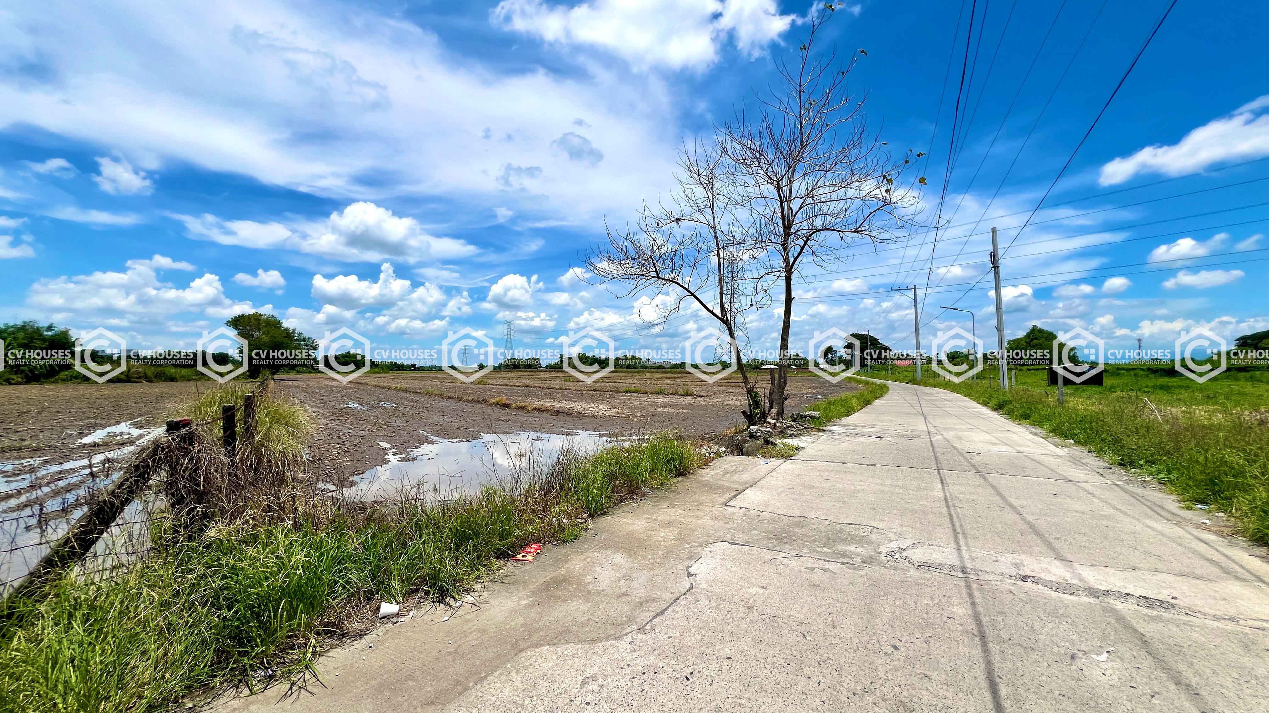 3-Hectare Agricultural Lot for Sale in Paniqui, Tarlac