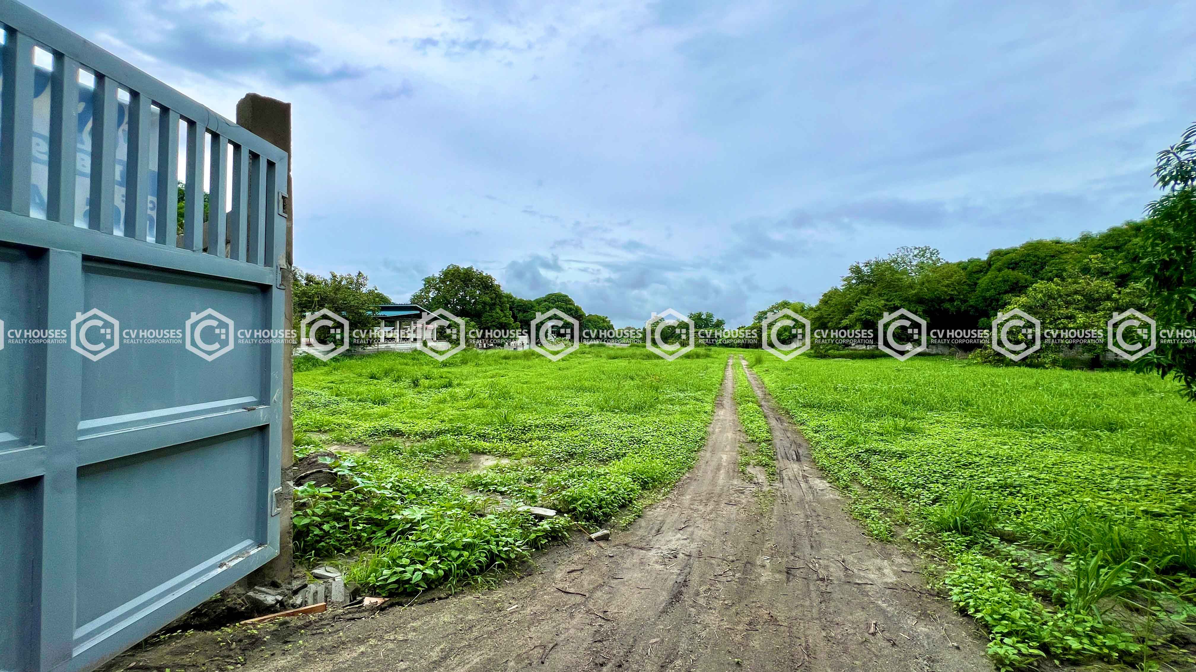 Ideal Agricultural Land for Investment in Porac