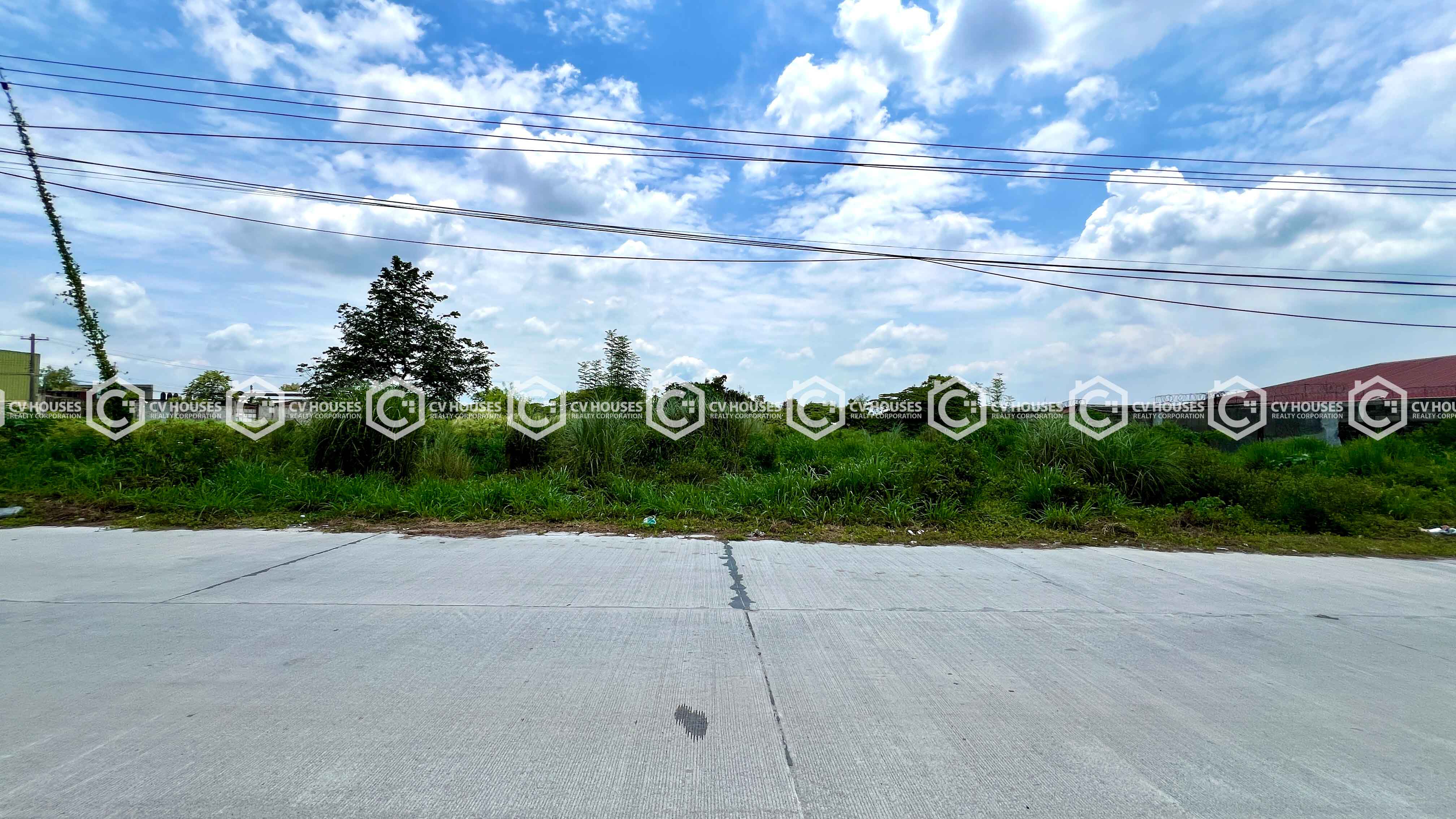Spacious Agricultural Lot for Sale in Mabalacat City