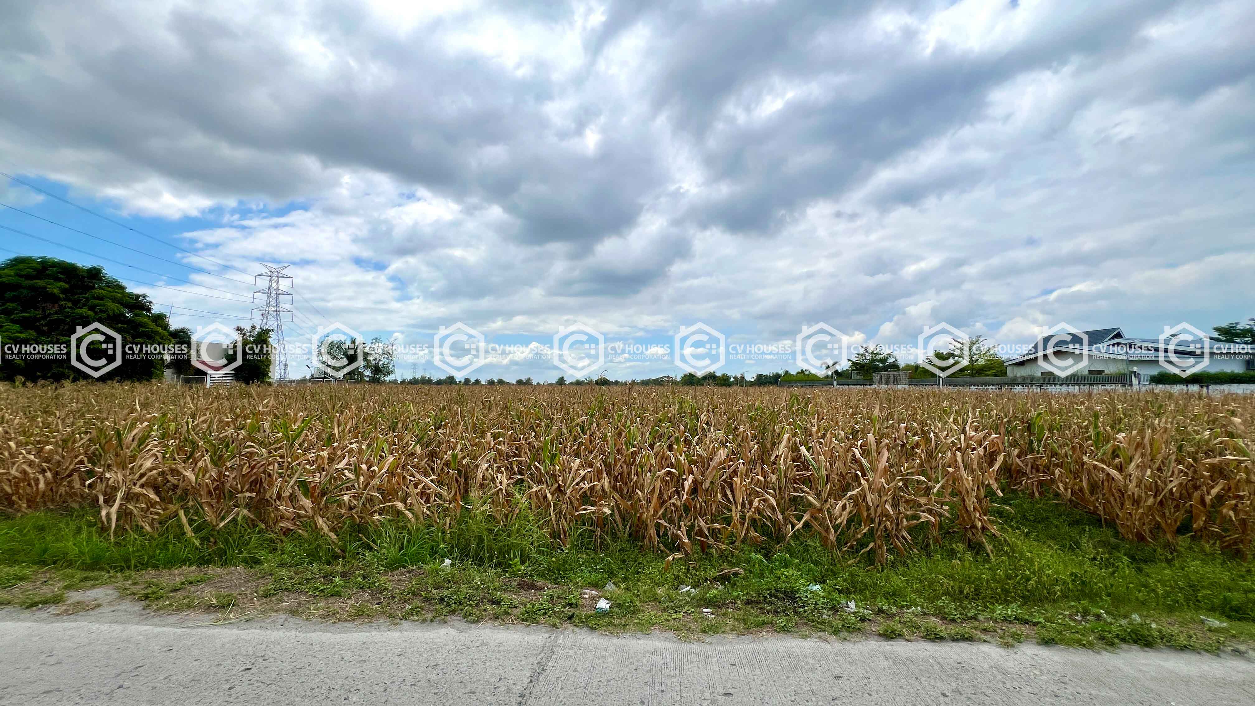 5,000sqm Agricultural Lot for Sale in Arayat, Pampanga