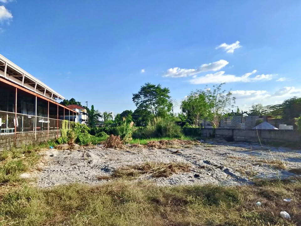 Spacious Residential Lot for Sale in Tarlac City